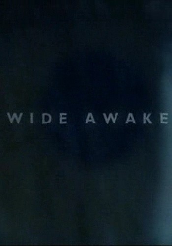 Кроме трейлера фильма Лезвия славы: Звездуны на льду, есть описание Пробуждение.
