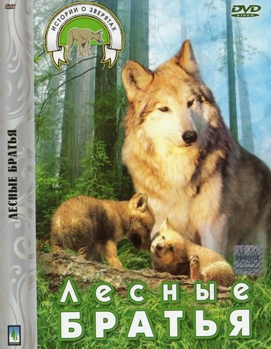 Кроме трейлера фильма La americanita, есть описание Лесные братья : Волчата.