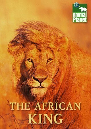 Кроме трейлера фильма Команда мечты, есть описание Жизнь среди львов.