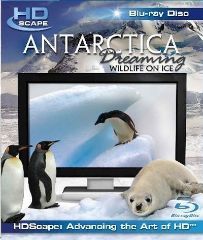 Кроме трейлера фильма Команда мечты, есть описание Антарктика - Дикая жизнь на льду.