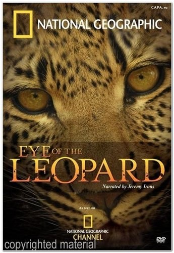 Кроме трейлера фильма Игра на выживание, есть описание Глаз леопарда.
