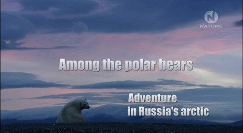 Кроме трейлера фильма Это катастрофа, есть описание Среди белых медведей или приключения в русской Арктике.