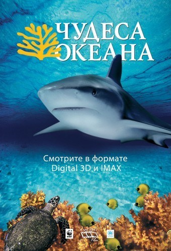 Кроме трейлера фильма Средняя школа, есть описание Чудеса океана 3D.
