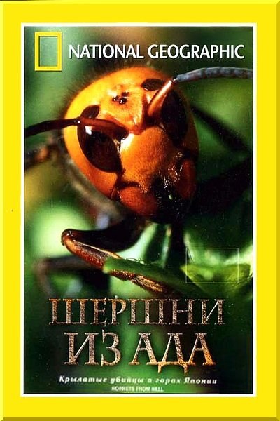 Кроме трейлера фильма Kucuk dunya, есть описание Шершни из ада.