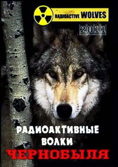 Кроме трейлера фильма Мара, есть описание Радиоактивные волки Чернобыля.