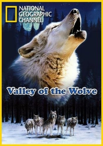 Долина волков - трейлер и описание.