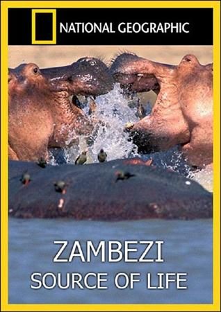 Кроме трейлера фильма La danza, есть описание National Geographic: Замбези: Источник жизни.