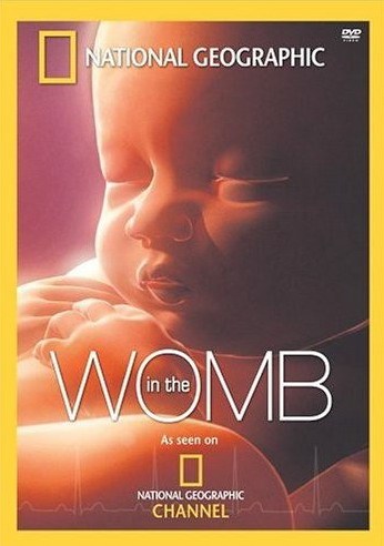 Жизнь до рождения: в утробе матери - человек - трейлер и описание.