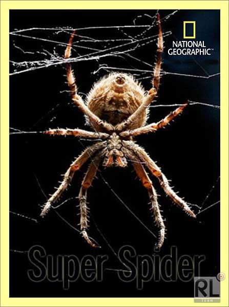 Кроме трейлера фильма A Question of Guilt, есть описание Супер паук.