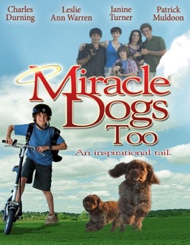 Кроме трейлера фильма Пропавшее золото инков, есть описание Зак и чудо-собаки.
