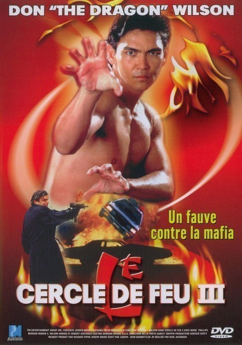 Кроме трейлера фильма Manuel de Falla, musico de dos mundos, есть описание Огненное кольцо 3: Удар льва.