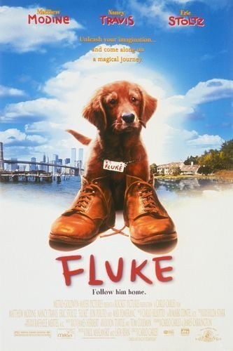 Кроме трейлера фильма Куки, есть описание Флюк.