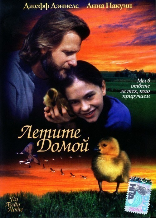 Кроме трейлера фильма La femme nue, есть описание Летите домой.