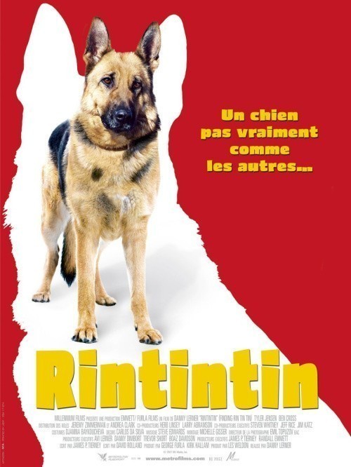 Кроме трейлера фильма Le retour de Colombine, есть описание Приключения пса.