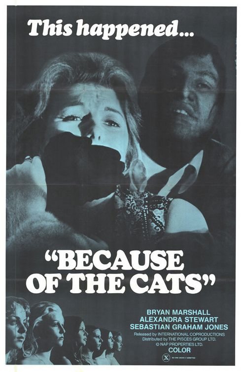 Кроме трейлера фильма Крик, есть описание Из-за кошек.