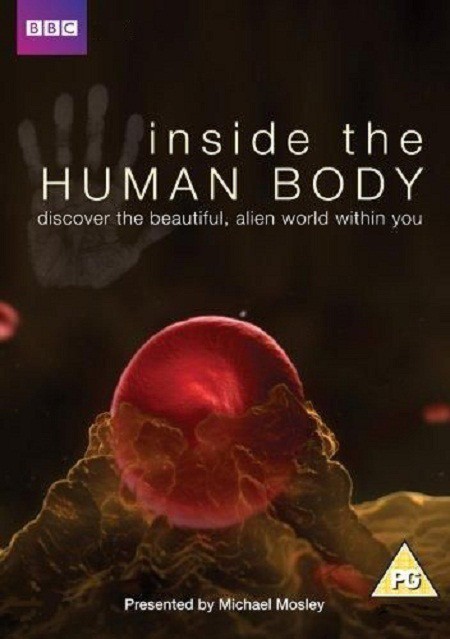 Внутри человеческого тела - трейлер и описание.