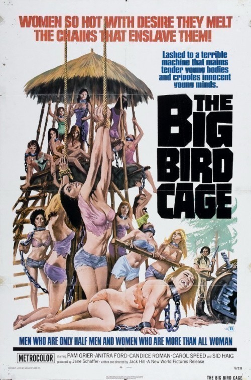 Кроме трейлера фильма В напитке бомба!, есть описание Большая клетка для птиц.