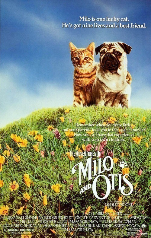Кроме трейлера фильма Pull, есть описание Приключения Майло и Отиса.
