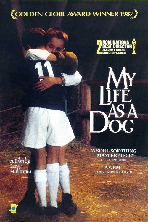 Кроме трейлера фильма Любимая невестка, есть описание Моя собачья жизнь.